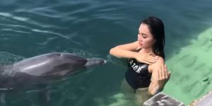 Bukan Hilang, BKSDA Pastikan 2 Lumba-Lumba di Bali Mati karena Sakit