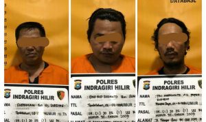 3 Terduga Narkoba di Inhil Diringkus Polisi