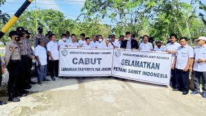 Bawa 5 Mobil Berisi TBS, Apkasindo Rohil Demo di Kantor Bupati