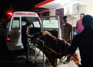 Kakek di Pekanbaru Ditemukan Tewas Gantung Diri