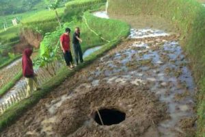 Lubang Misterius Sedalam 10 Meter Muncul di Persawahan Bandung Barat