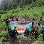 Foto Tim gabungan musnahkan ladang ganja di pegunungan Desa Agusen Kecamatan Blangkejeren, dalam operasi Antik Seulawah. (Insetgalus.co)