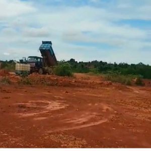 Diduga Keras Pembabatan dan Penimbunan Hutan Mangrove Dilakukan Secara Ilegal