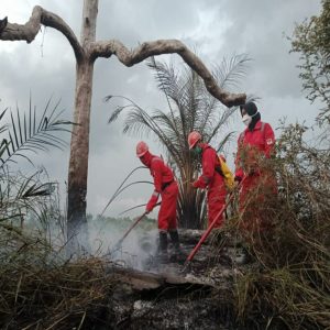 Empat Daerah di Riau Tetapkan Status Siaga Darurat Karhutla