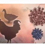 Foto ilustrasi virus.