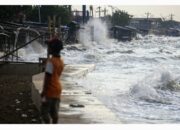 Foto : Ilustrasi ombak dan gelombang laut.